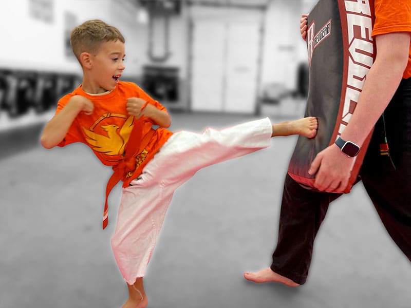 Kids Martial Arts Training Sessions Near Me in Carol Stream | EverStrong Academy