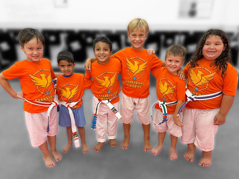 Kids Martial Arts Training Sessions Near Me in Carol Stream | EverStrong Academy